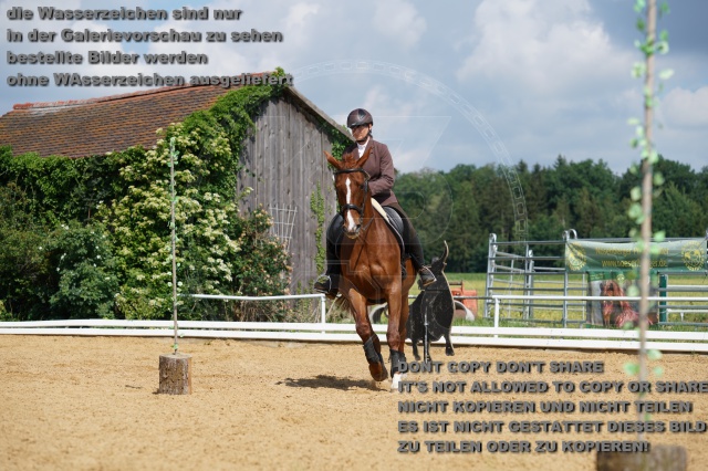 s_K3F05769.JPG